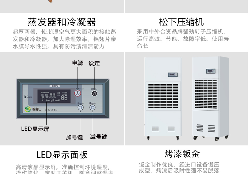 澳门天线宝宝