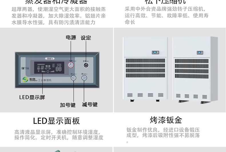 澳门天线宝宝