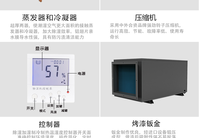 澳门天线宝宝